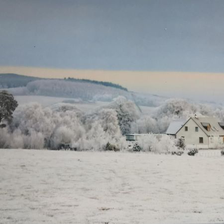 Hillhaven Bed &Breakfast Bed and Breakfast Fortrose Eksteriør billede